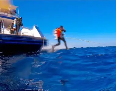 Sea Wolf diving adventure video