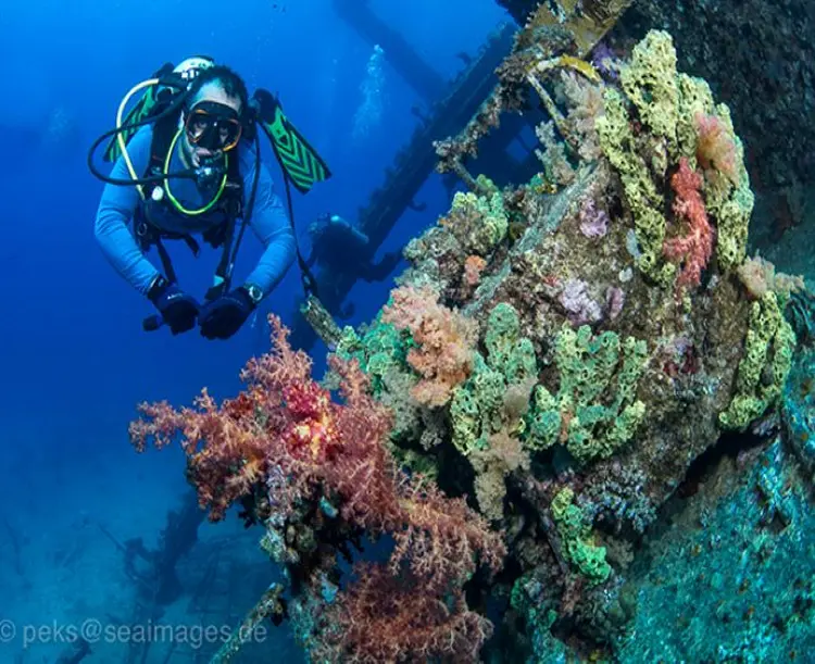 North Wrecks and Brother Islands