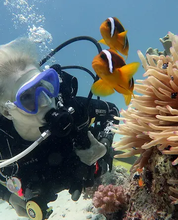 What a Full Dive Day Really Looks Like