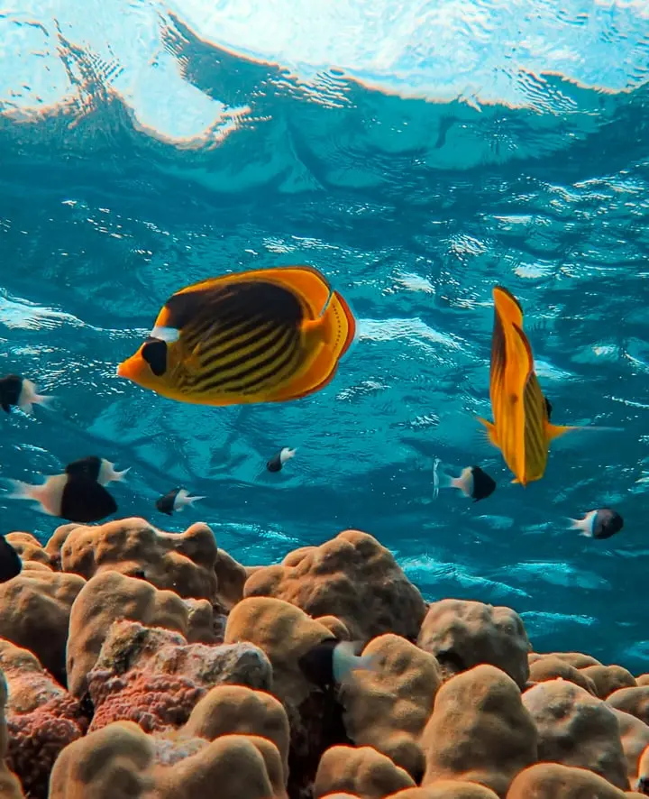 Wreck Diving in the Northern Red Sea