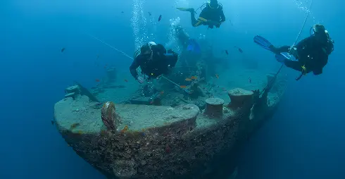 Exploring the Red Sea dive sites