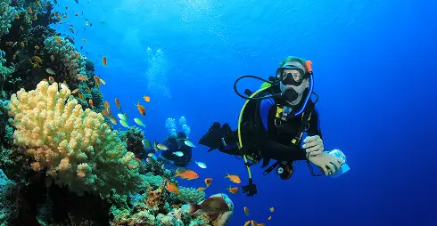 Winds, currents, and diving conditions