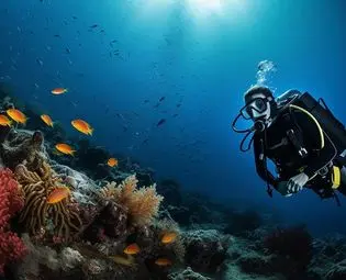 Diver among a school of fish in open water
