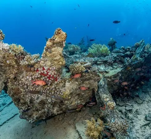 North Wrecks & Brother Islands