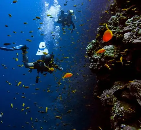 Red Sea Classic