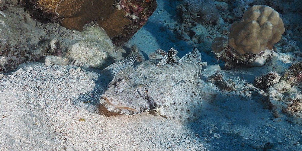 Laguna Reef North & South