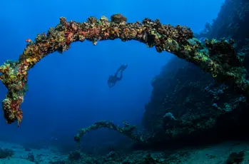 North Wrecks & SS Turkia