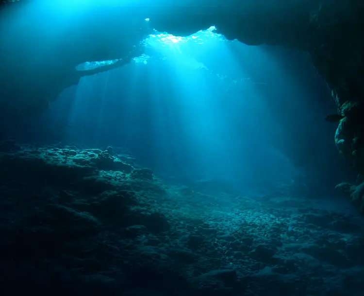 St. Johns / Elba Reef