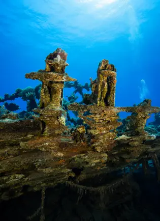 North Wrecks & SS Turkia
