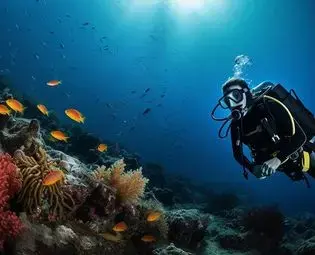 Diver among a school of fish in open water