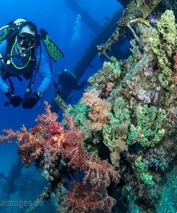Diver exploring a vibrant coral reef