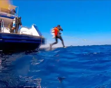 Sea Wolf diving adventure video